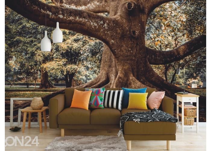 Флизелиновые фотообои Tree Root 368x254 см увеличить