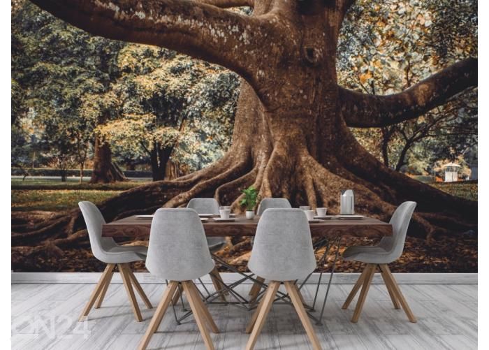 Флизелиновые фотообои Tree Root 368x254 см увеличить