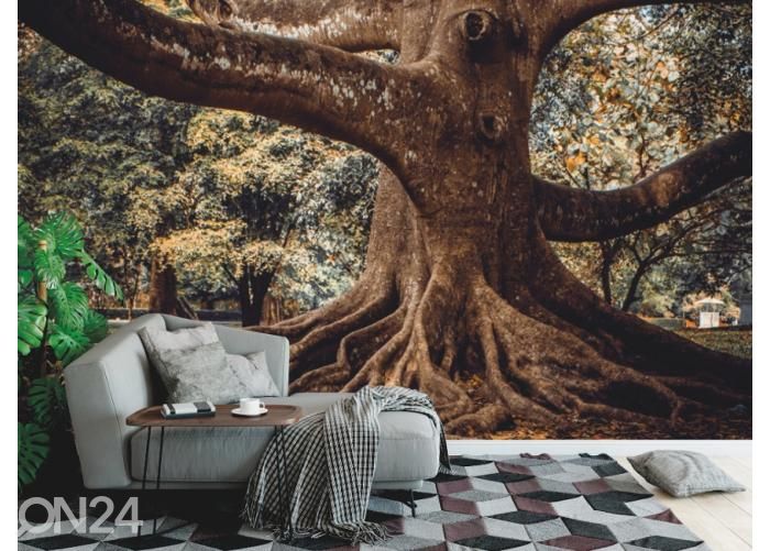 Флизелиновые фотообои Tree Root 368x254 см увеличить