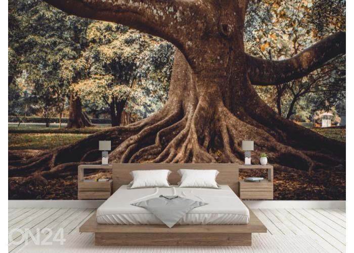 Флизелиновые фотообои Tree Root 368x254 см увеличить