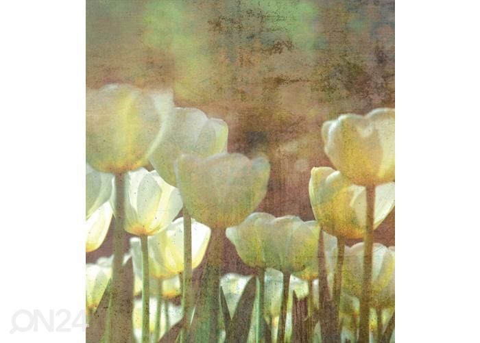 Флизелиновые фотообои White Tulips Abstract 150x250 см увеличить
