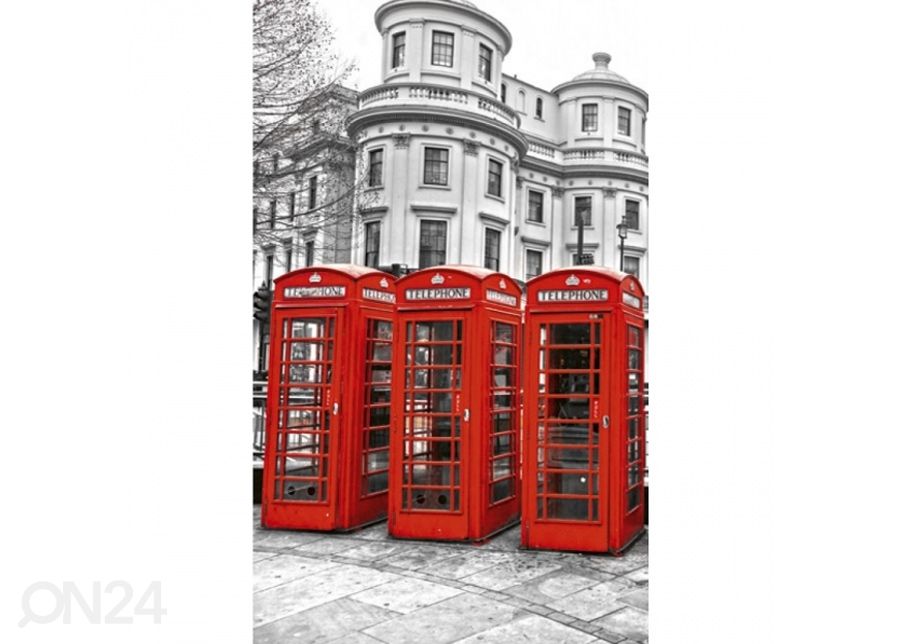 Флисовые фото-обои London 225x250 см увеличить
