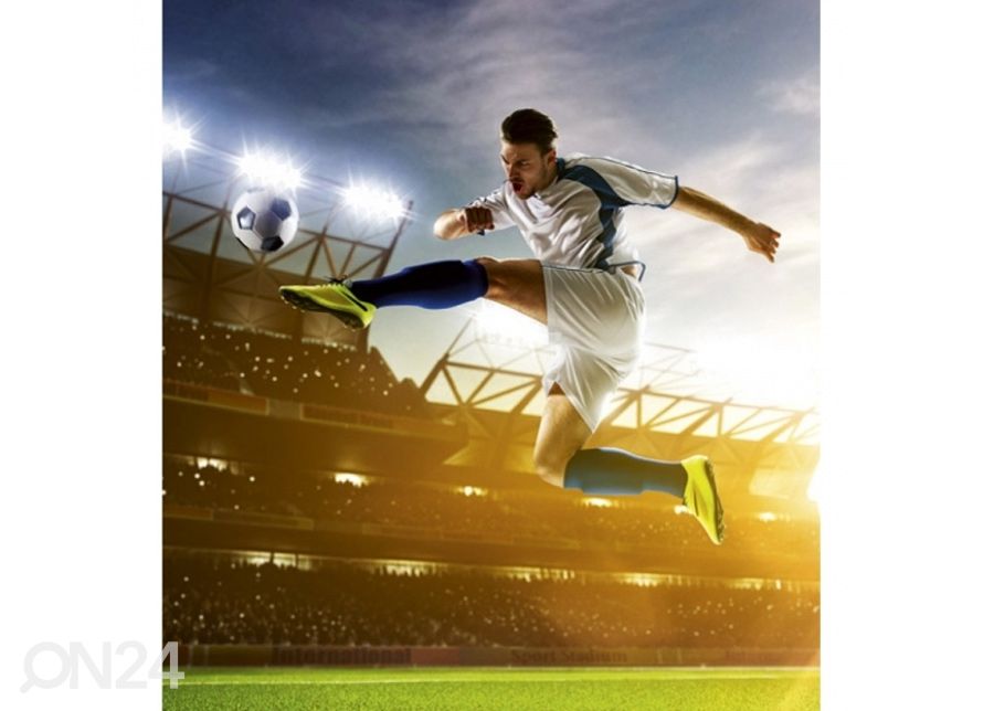 Флисовые фото-обои Soccer player 375x250 см увеличить