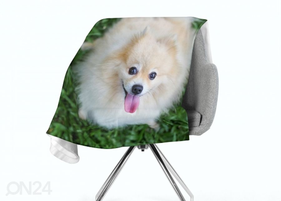 Флисовый плед Happy Pomeranian Dog 130x150 см увеличить