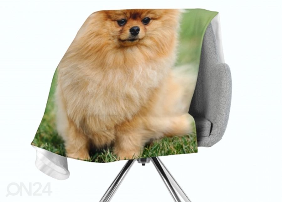 Флисовый плед Pomeranian Dog 150x200 см увеличить