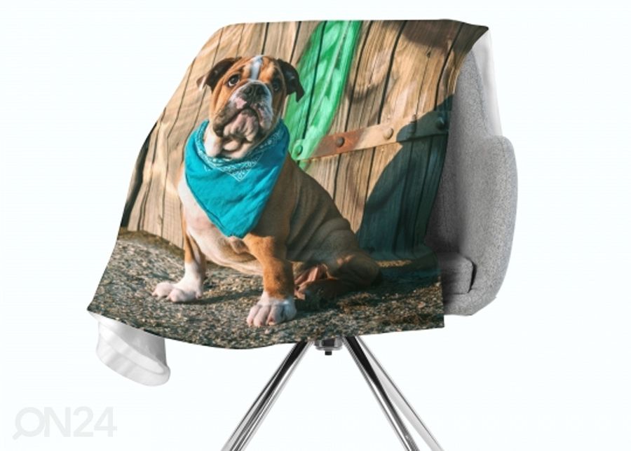 Флисовый плед Stylish English Bulldog Puppy 150x200 см увеличить