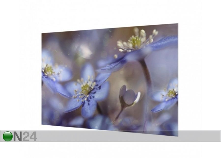 Фотостекло для кухонного фартука Anemones In Blue 40x100 cm увеличить