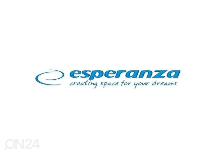 Электрочайник Esperanza EKK104X увеличить