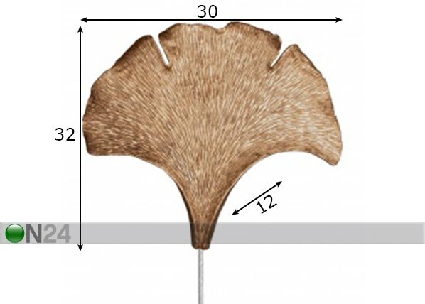 Бра Ginkgo размеры