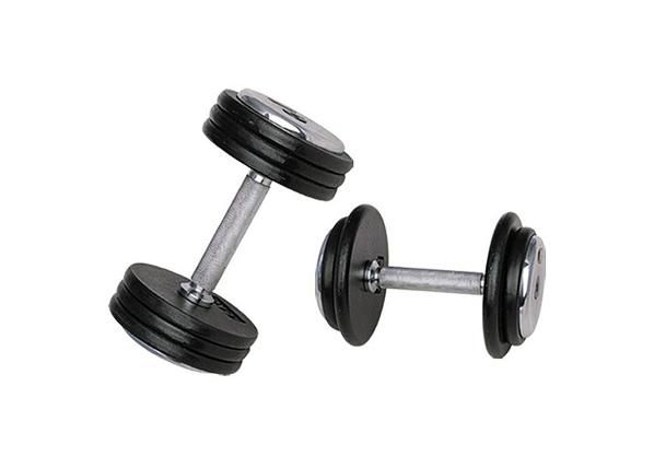 Гантель ProfiST 2,5 кг inSPORTline