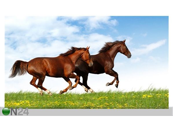 Картина Horses Gallop 71x40 см