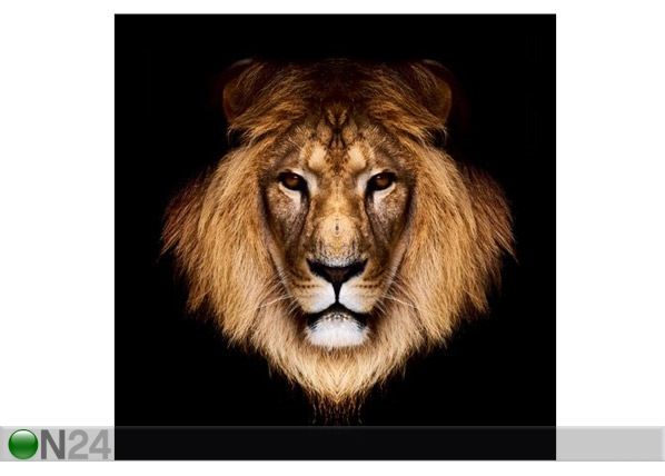 Картина Lion 40x40 см