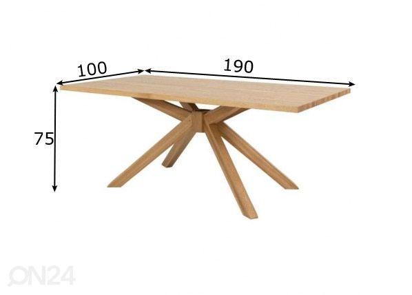 Обеденный стол Tenzo Across 190x100 cm размеры