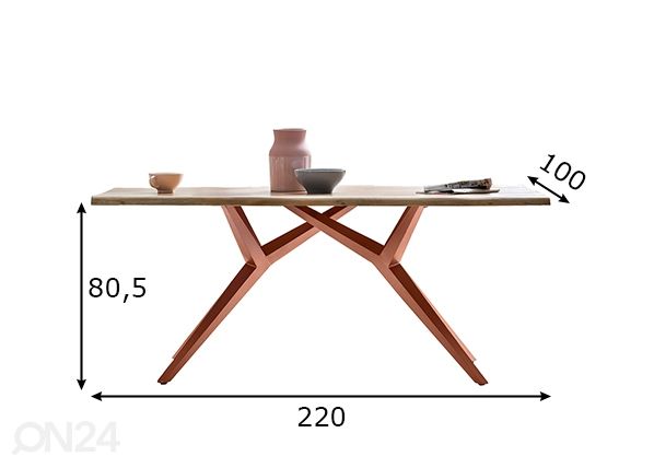 Обеденный стол Tische 100x220 cm размеры