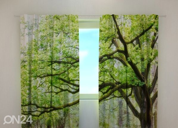 Просвечивающая штора Green tree 240x220 cm