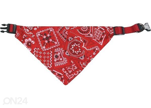 Собачий ошейник 40/65 см x 25 мм красный