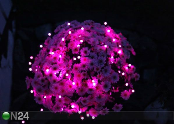 Цветные LED огоньки Party 80