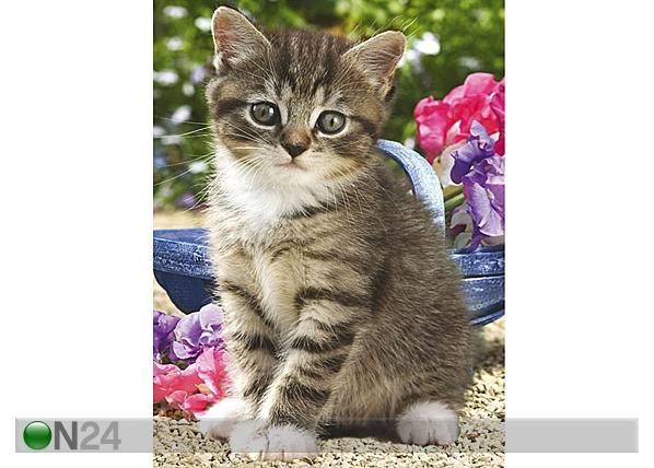 Ravensburger пазл Котенок в саду 50x70 см