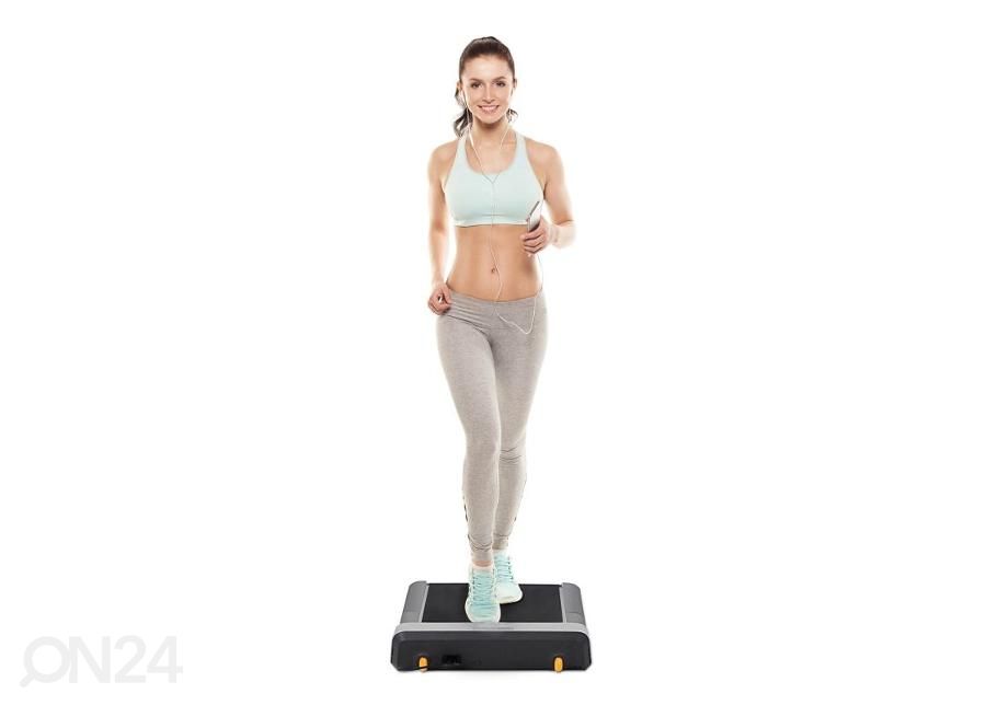 Беговая дорожка Flow Fitness DTM100i увеличить