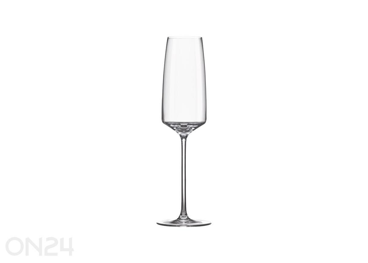 Бокал для шампанского Vista 250 мл, 6 шт. увеличить