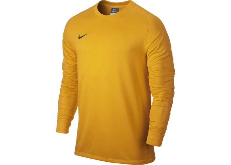 Вратарская рубашка Park Goalie II Jersey 588418-739 Nike увеличить