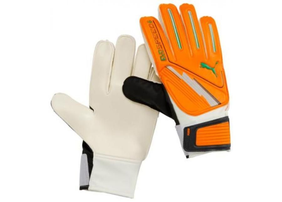 Вратарские перчатки Puma Evo Speed 6 040887 02 увеличить