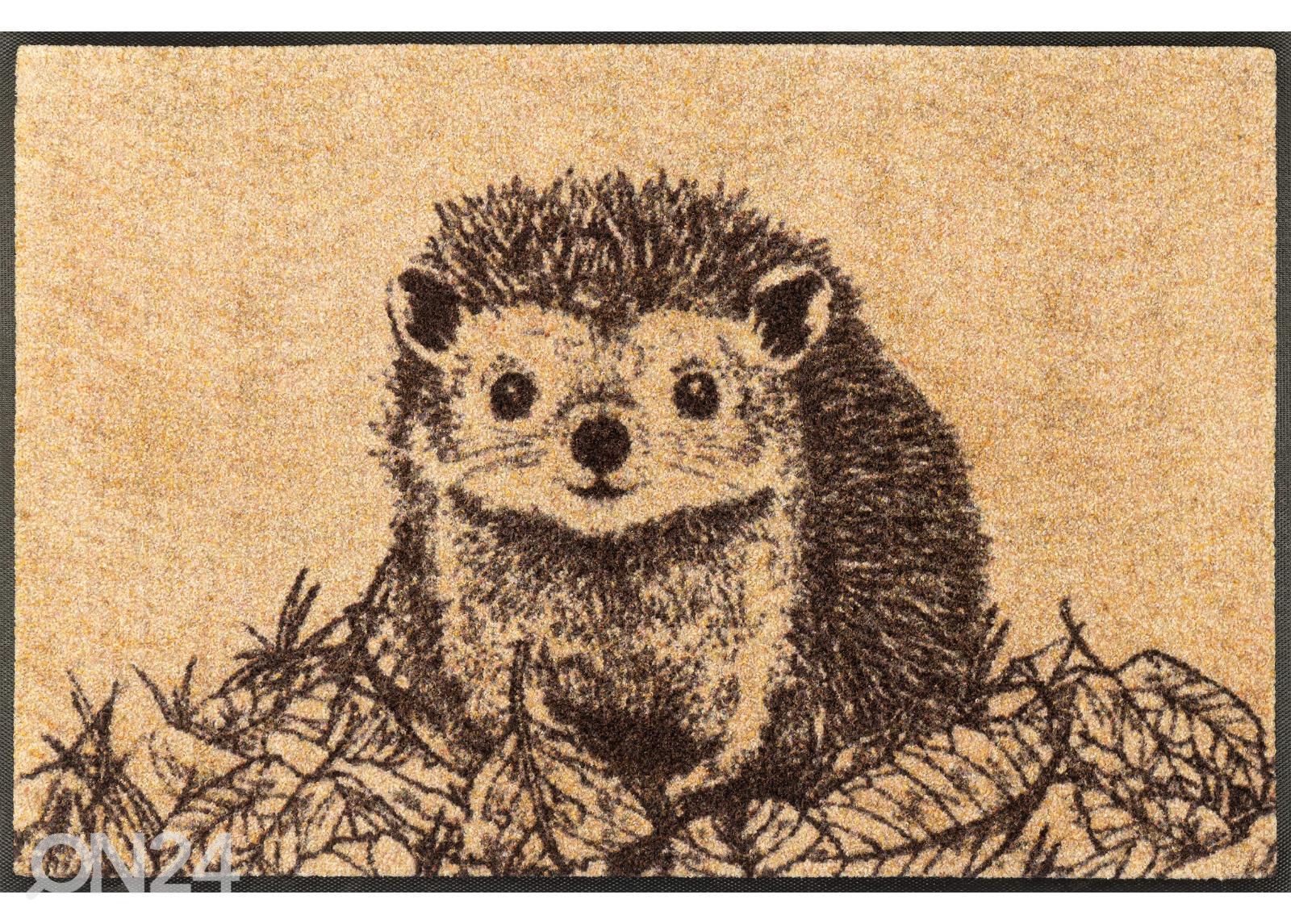 Дверной коврик Hedgy 50x75 cm увеличить