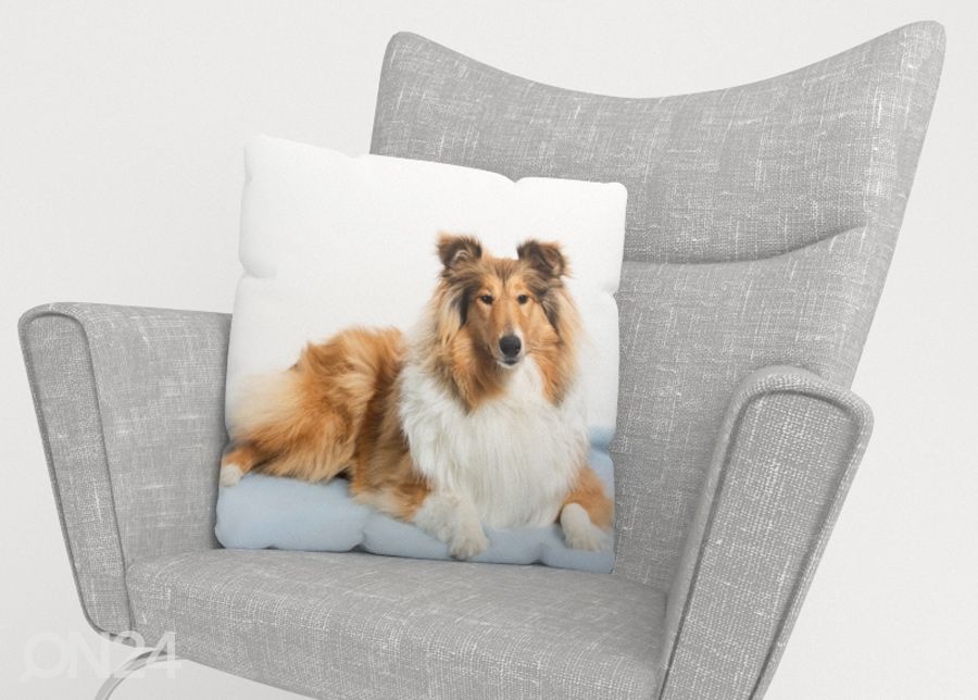 Декоративная наволочка Beautiful Collie 45x45 см увеличить