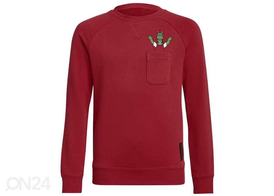 Детская толстовка Adidas Arsenal FC Crew Sweat увеличить