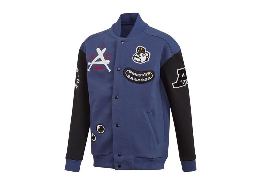 Детская толстовка Adidas Collegiate Jr FL2808 увеличить