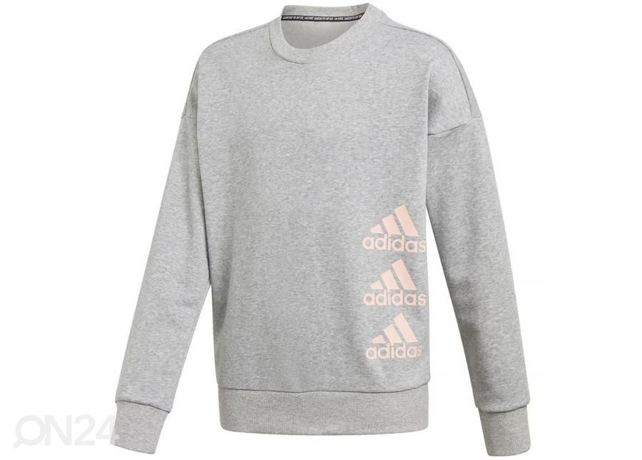 Детская толстовка Adidas Jg Mh Crew Junior GK3237 увеличить