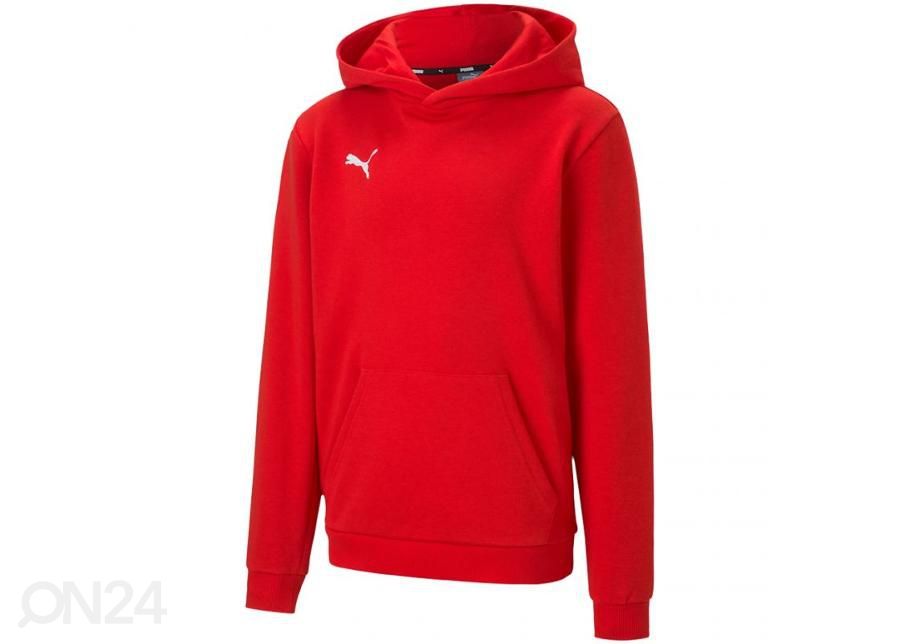 Детская толстовка Puma teamGOAL 23 Casuals увеличить