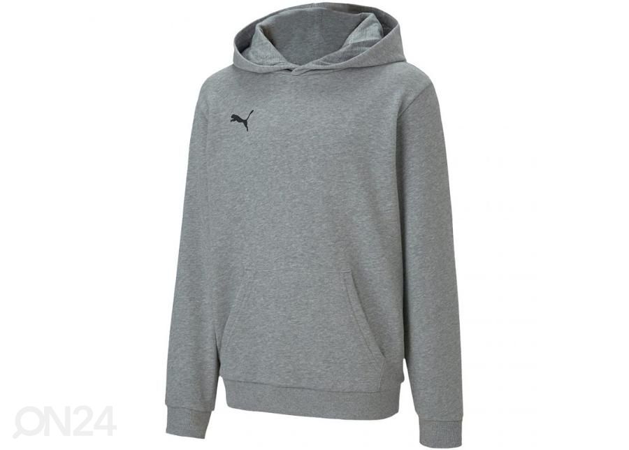 Детская толстовка Puma teamGOAL 23 Casuals увеличить