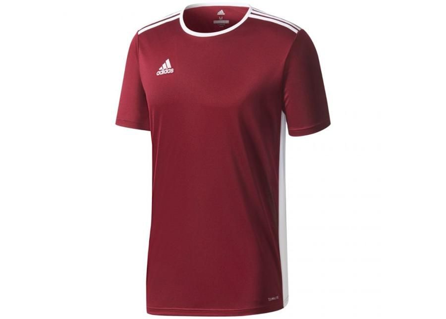 Детская футболка adidas ENTRADA 18 Jr CD8430 размер 152 см увеличить