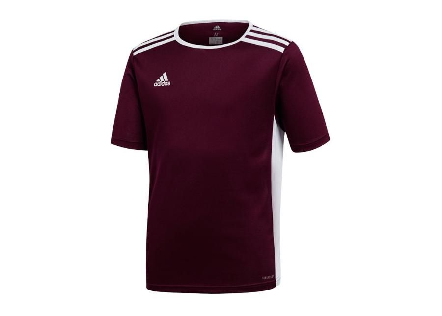 Детская футболка adidas Entrada 18 Jr CE9564 увеличить
