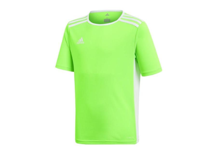 Детская футболка adidas Entrada 18 Jr CE9755 увеличить