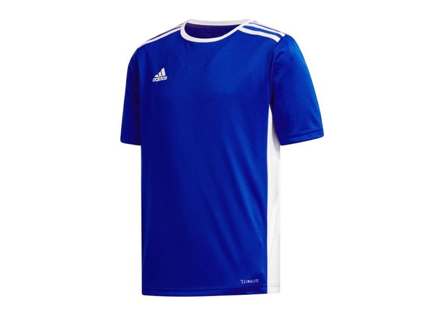 Детская футболка adidas Entrada 18 Jr CF1049 увеличить