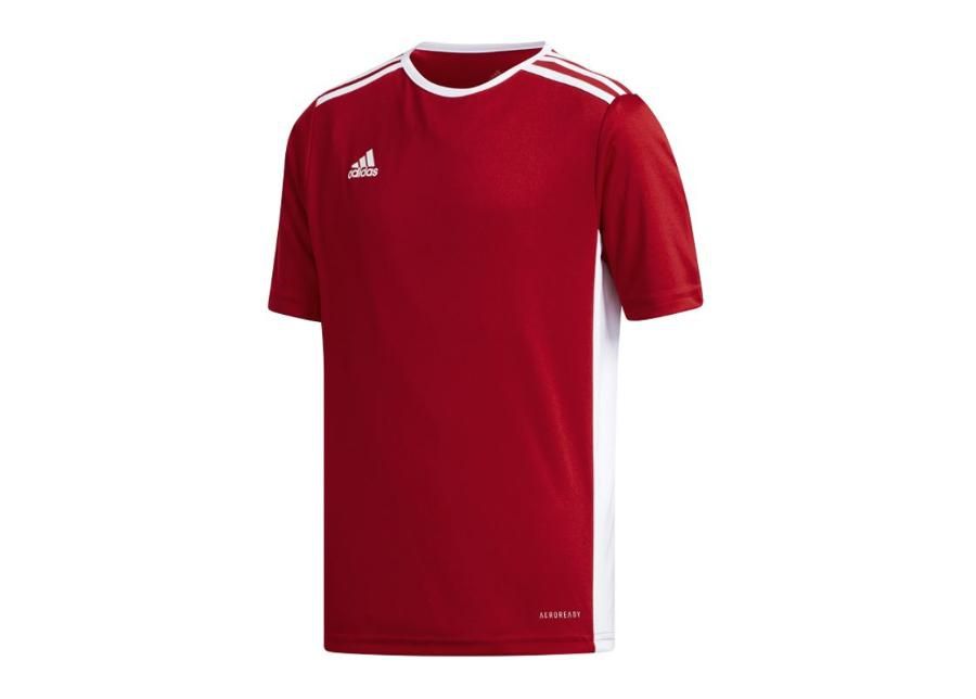 Детская футболка adidas Entrada 18 Jr CF1050 увеличить