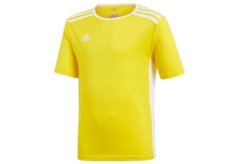 Детская футболка Adidas Entrada 18 Jsyy Jr CF1039 увеличить