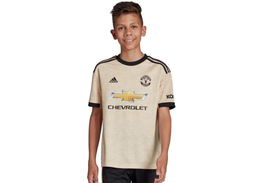 Детская футболка adidas Manchester FC Away JSY Y Junior DX8945 увеличить