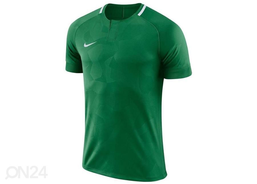 Детская футболка Nike Y NK Dry Chalang II JSY SS увеличить