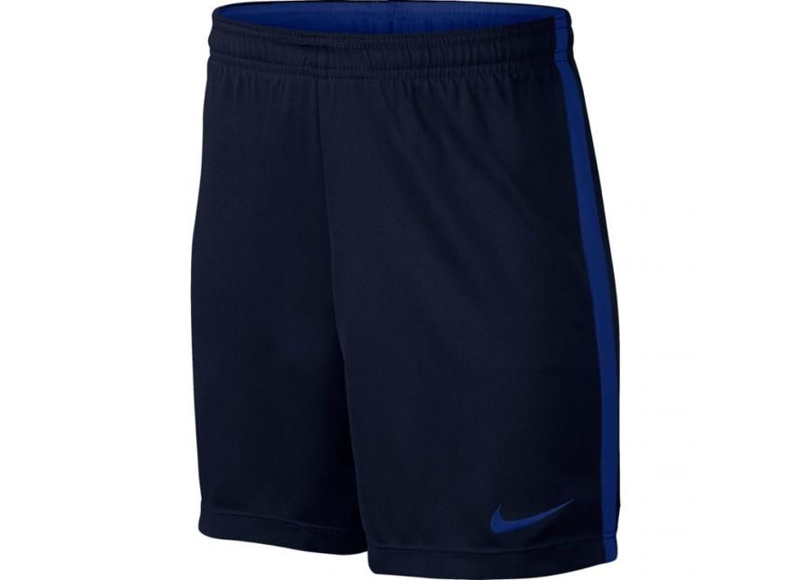 Детские шорты Nike Dry Academy K Jr 832901 459 увеличить