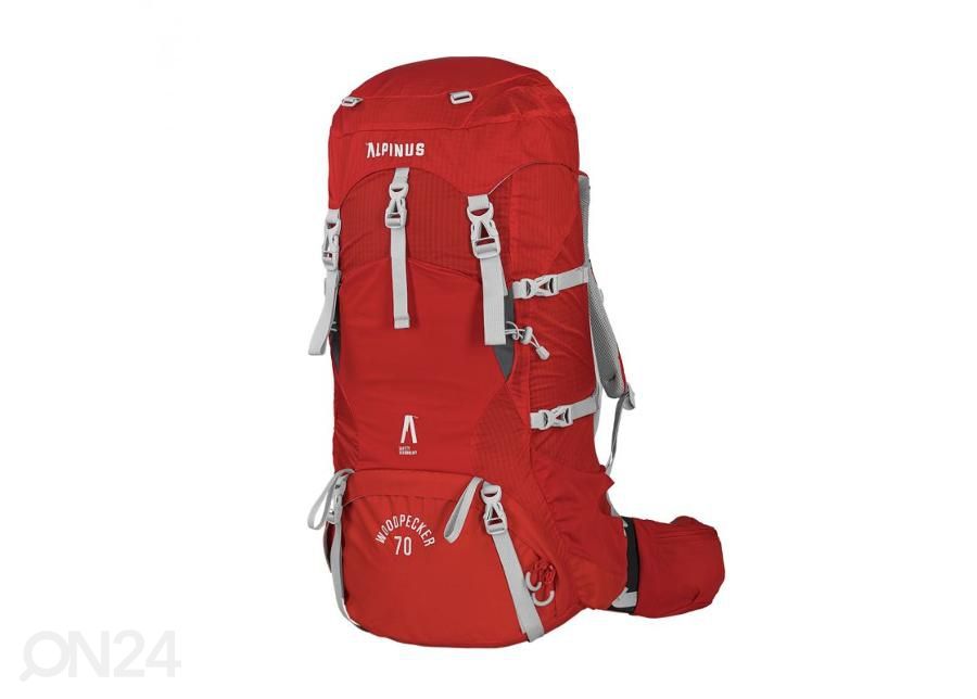 Дорожный рюкзак Alpinus Woodpecker 70 PO43640 увеличить