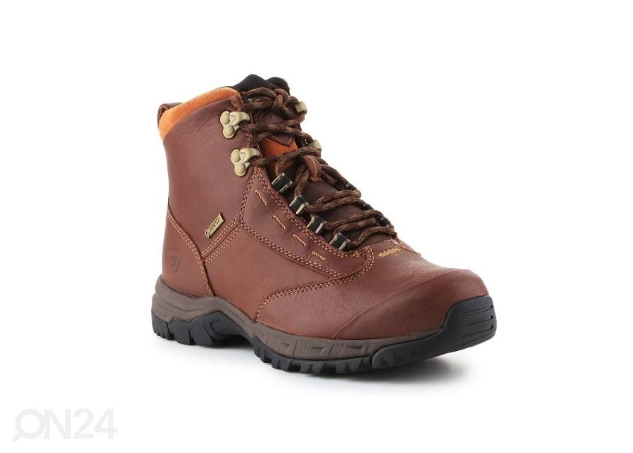 Женская обувь для похода Ariat Berwick GTX увеличить