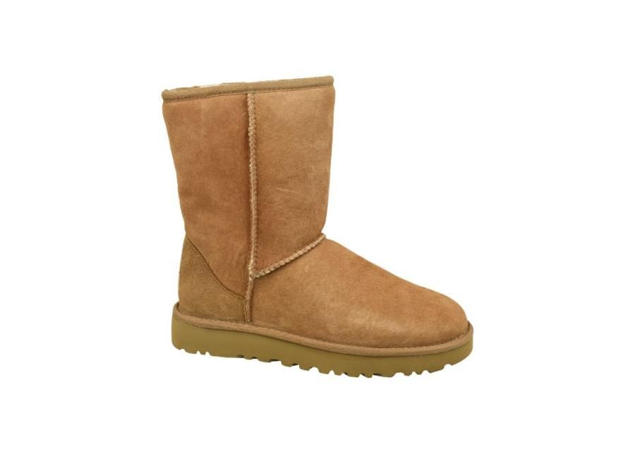 Женские зимние сапоги UGG Classic Short II W увеличить