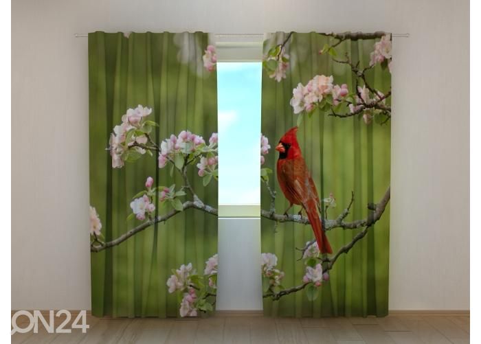 Затемняющая фотоштора Bird Cardinal on a Spring Twig 240x220 см увеличить