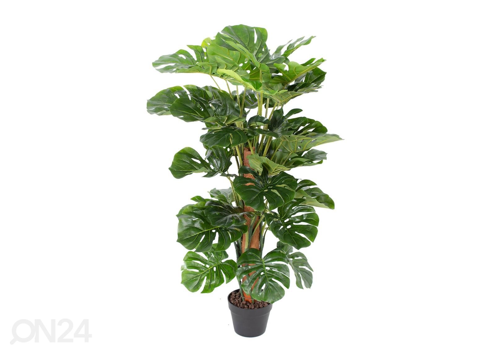 Искусственное дерево Monstera 105 см увеличить
