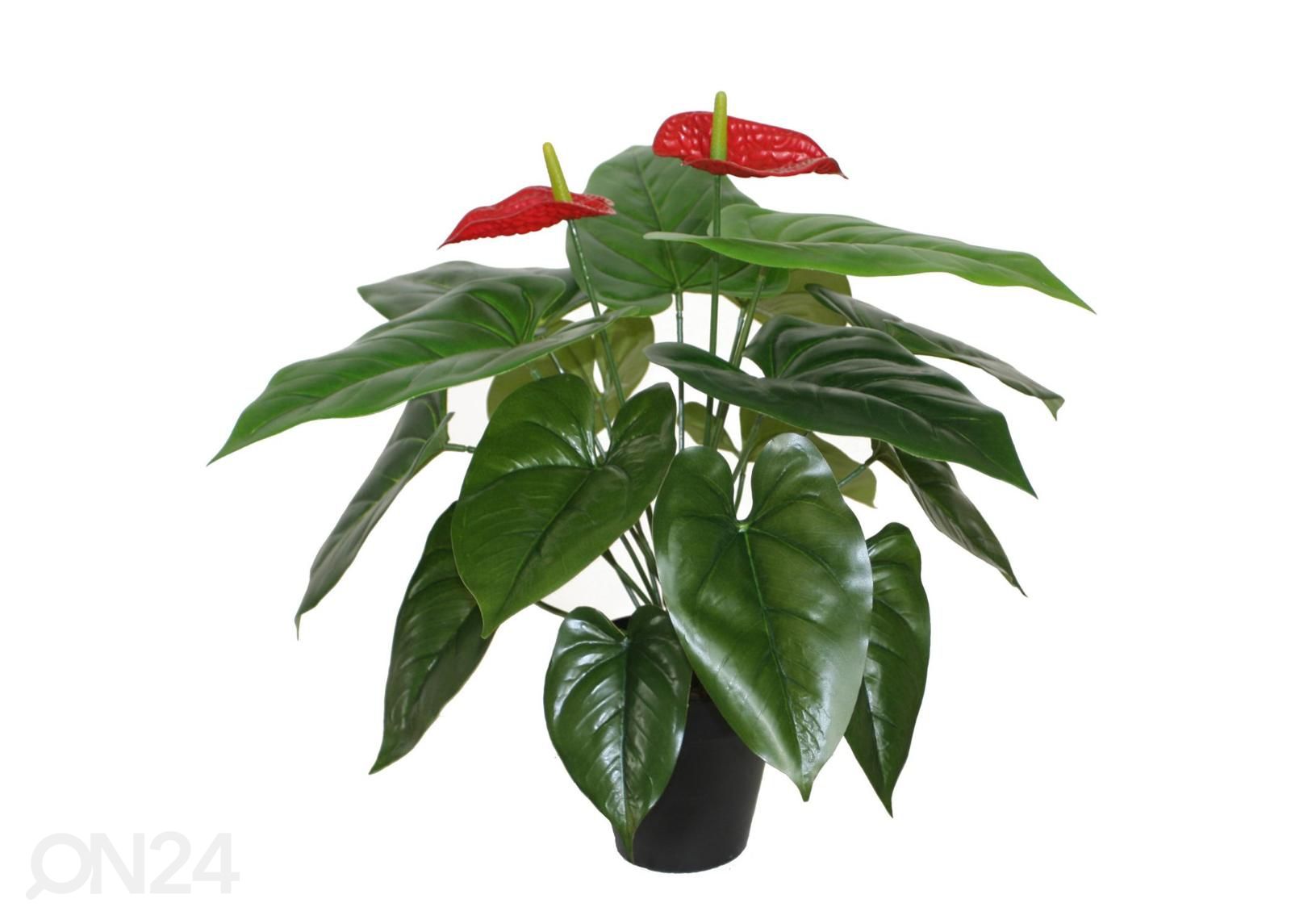 Искусственное растение Anthurium 45 см увеличить