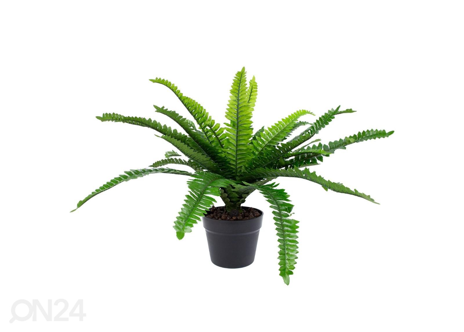 Искусственное растение Boston fern 60 см увеличить