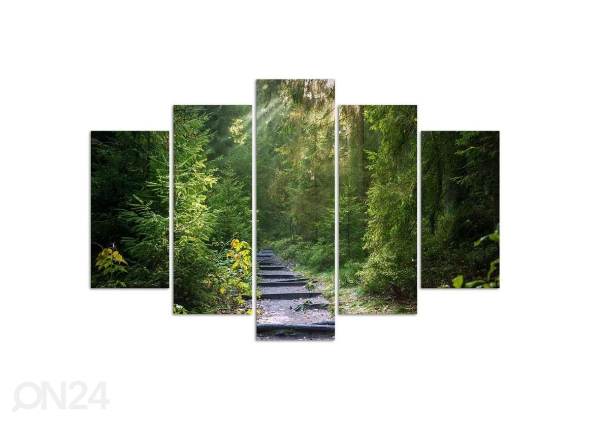 Картина из 5-частей Path in Green Forest 150x100 см увеличить